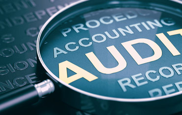 Audit-MS